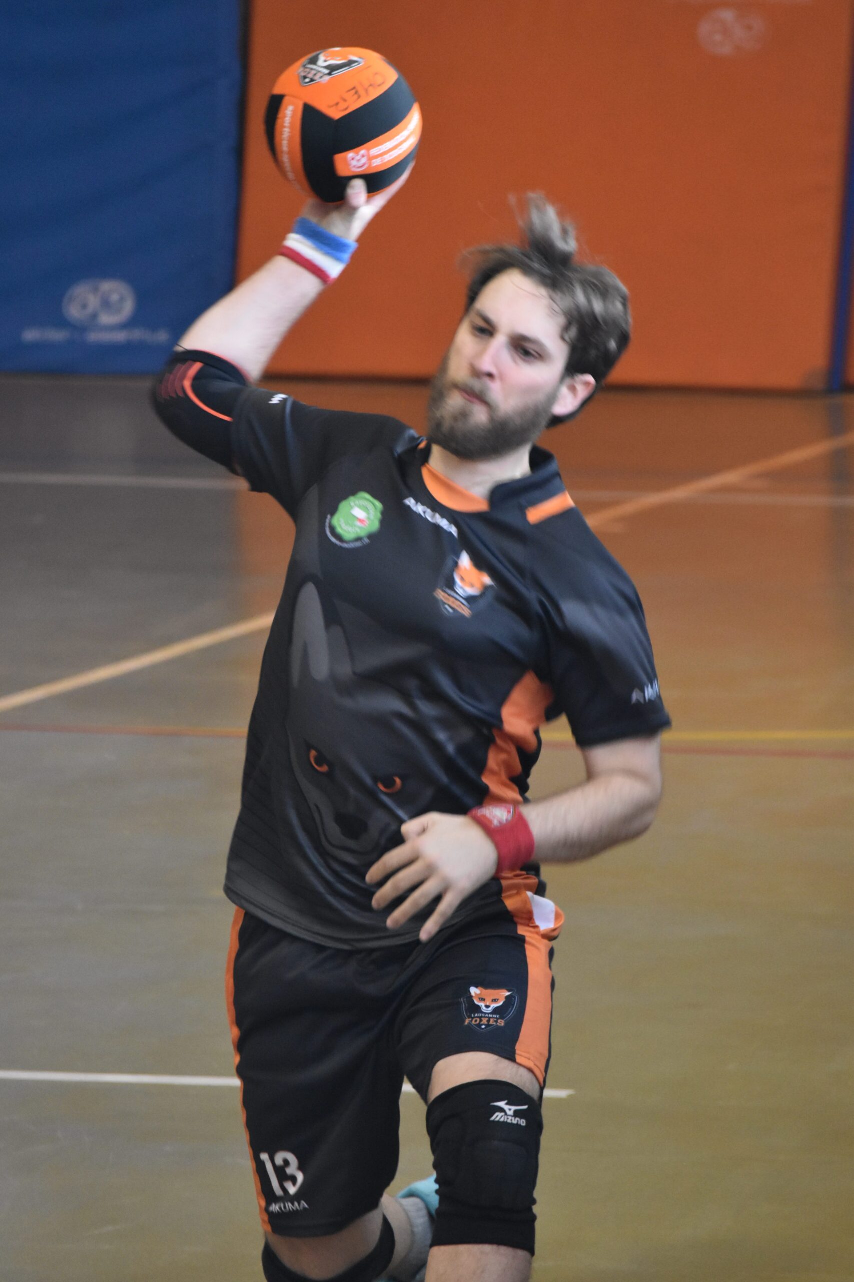 Ludo Lausanne Foxes
