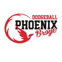 Logo Dodgeball Phoenix Broye