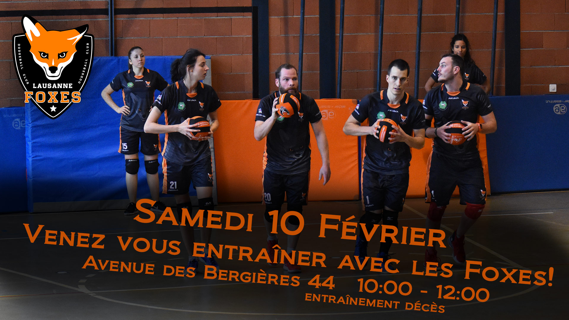 Entrainement ouvert lausanne Foxes Dodgeball 10 fevrier