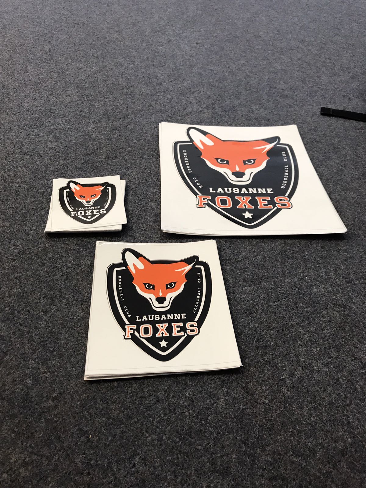 Stickers Auto-collants Lausanne Foxes Dodgeball