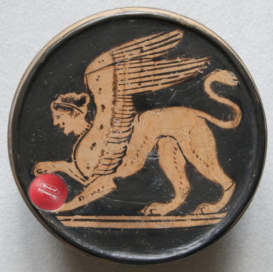 Vincent Lausanne Foxes Dodgeball Sphinx 5 questions à