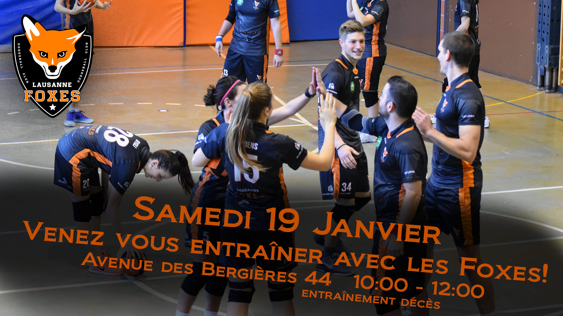 Lausanne Foxes Dodgeball Entrainement ouvert 19 janvier