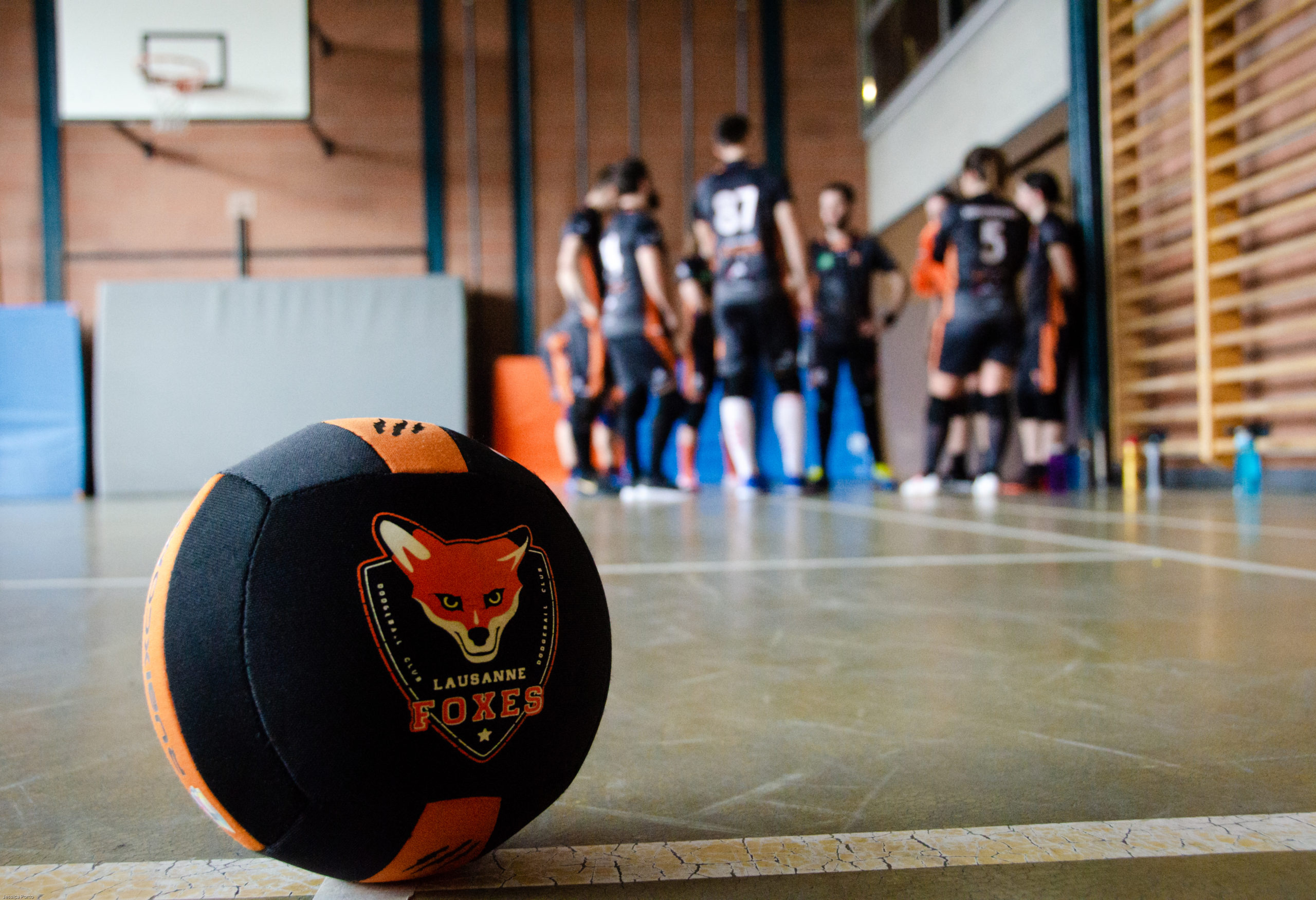 Lausanne Foxes Dodgeball Club