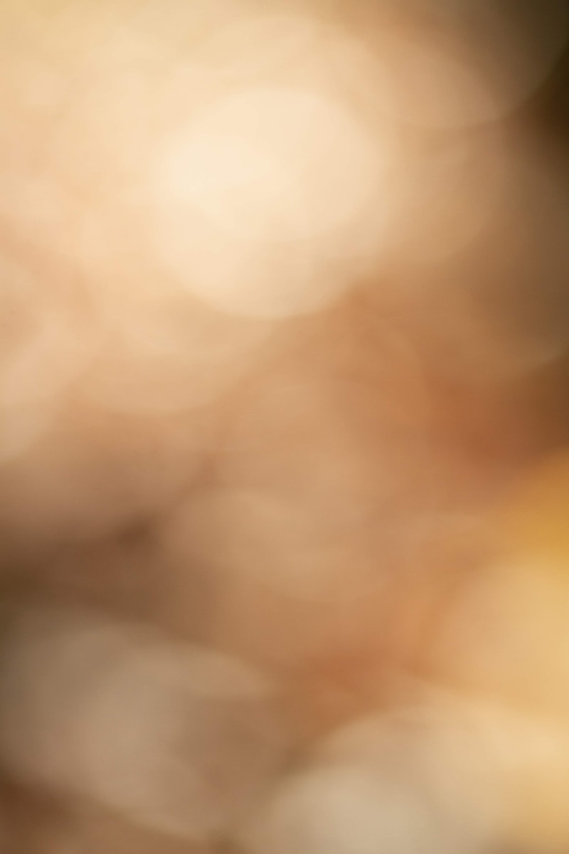 brown and white bokeh lights